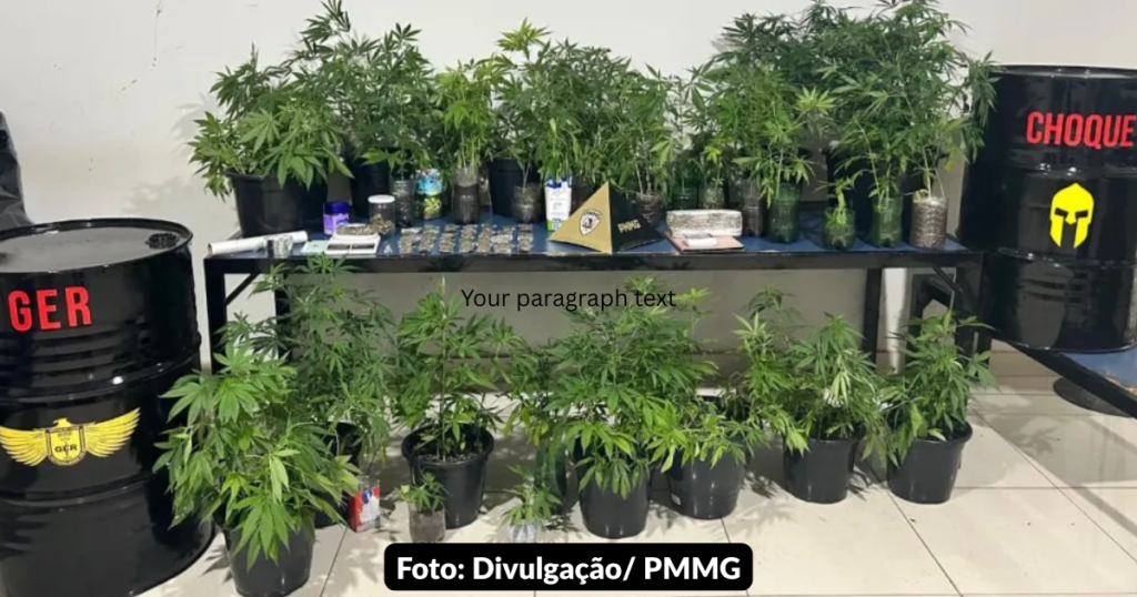 Renderização realista de apartamento com Estufa Maconha Montes Claros, vasos, controle ambiental e iluminação