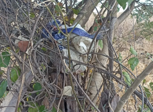 Cena do Horror em Ponto Chique que assustou moradores e mobilizou autoridades locais no Norte de Minas Gerais.