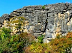 Agência Minas Gerais | Desmatamento no Cerrado de Minas Gerais cai 34% e estado supera média nacional na redução dos alertas