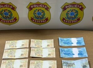 1 de 1Notas falsas foram apreendidas — Foto: Polícia Federal/ Divulgação