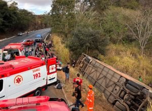 1 de 2Ônibus tombou fora da pista — Foto: Corpo de Bombeiros/Divulgação