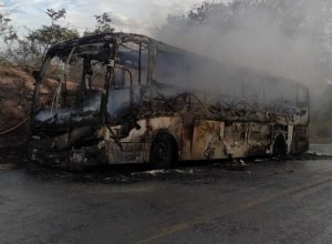 1 de 3Ônibus pegou fogo na BR-251 — Foto: Corpo de Bombeiros/Divulgação
